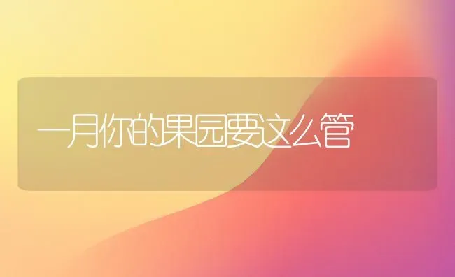 一月你的果园要这么管 | 瓜果种植