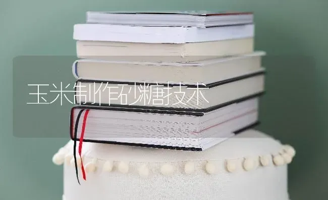 玉米制作砂糖技术 | 粮油作物种植