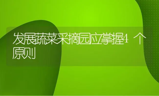 发展蔬菜采摘园应掌握4个原则 | 蔬菜种植