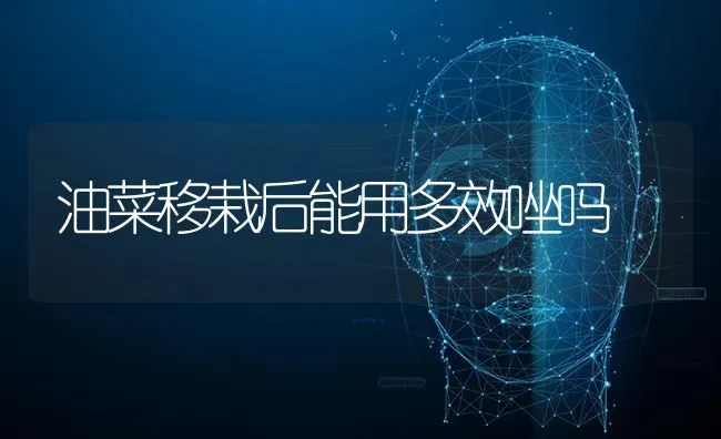 油菜移栽后能用多效唑吗 | 粮油作物种植