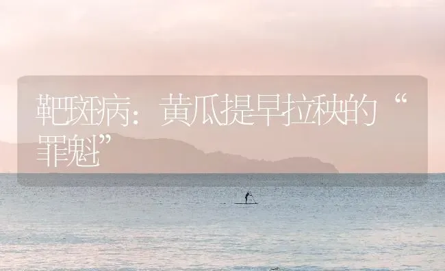 靶斑病：黄瓜提早拉秧的“罪魁” | 蔬菜种植