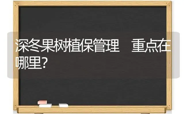 深冬果树植保管理 重点在哪里？ | 瓜果种植