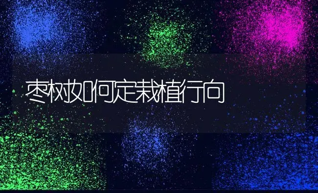 枣树如何定栽植行向 | 瓜果种植