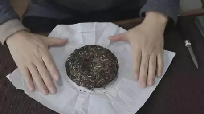 果实保存|福鼎白茶保存方法和时间