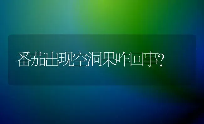 番茄出现空洞果咋回事？ | 瓜果种植