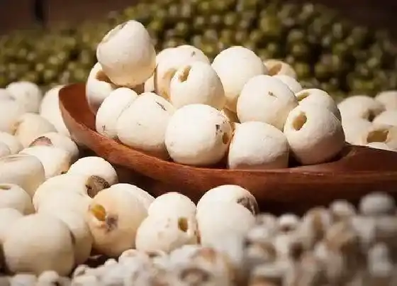 果实保存|莲子的储存方法