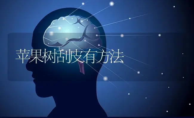 苹果树刮皮有方法 | 瓜果种植