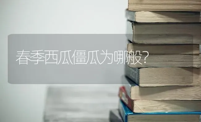 春季西瓜僵瓜为哪般？ | 瓜果种植