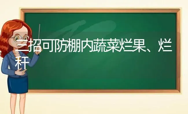 三招可防棚内蔬菜烂果、烂秆 | 蔬菜种植