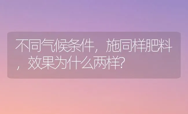 不同气候条件，施同样肥料，效果为什么两样? | 瓜果种植