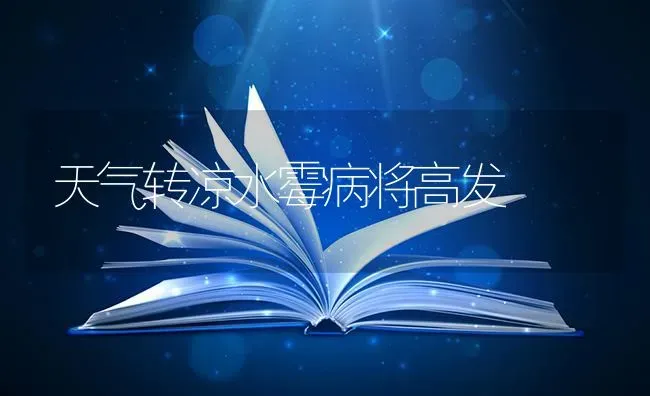 玉米种子的越夏堆种贮藏技术 | 粮油作物种植