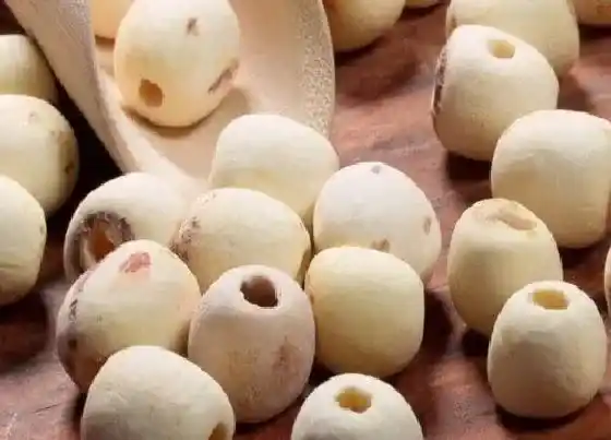 果实保存|莲子的储存方法