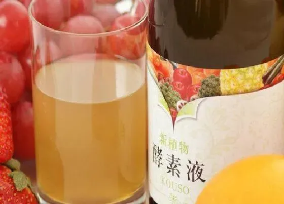 植物施肥|酵素可以做肥料吗