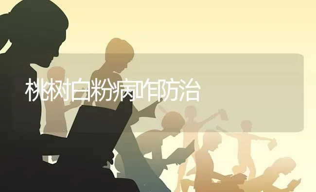 桃树白粉病咋防治 | 瓜果种植
