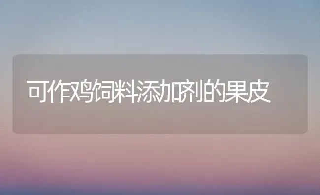 可作鸡饲料添加剂的果皮 | 瓜果种植
