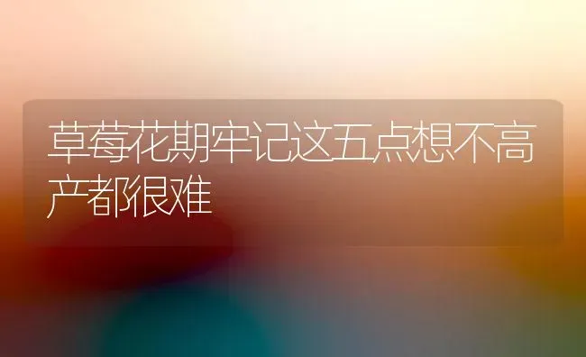 梨树如何施好基肥 | 瓜果种植