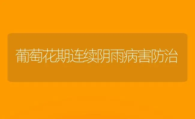 葡萄花期连续阴雨病害防治 | 瓜果种植