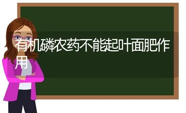 有机磷农药不能起叶面肥作用 | 种植病虫害防治