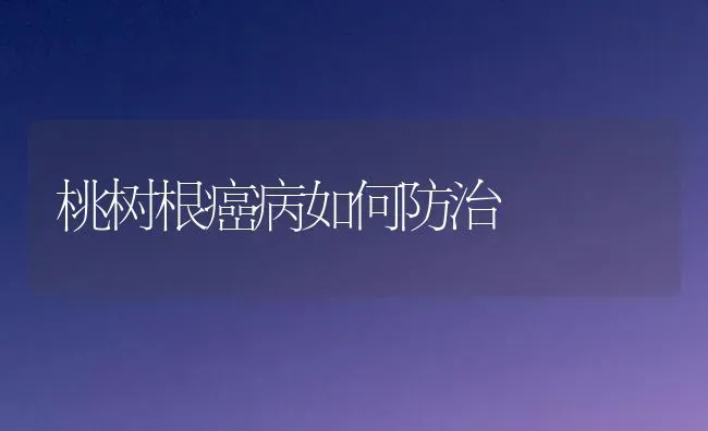 桃树根癌病如何防治 | 瓜果种植
