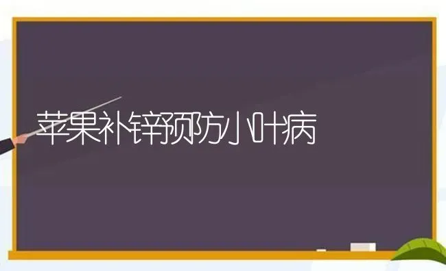 苹果补锌预防小叶病 | 瓜果种植