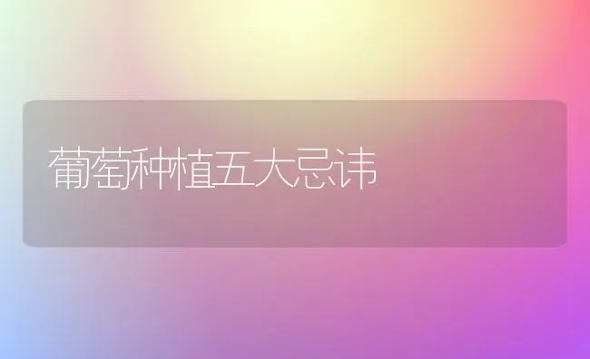 葡萄种植五大忌讳 | 植物种植百科