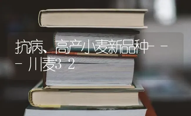 抗病、高产小麦新品种---川麦32 | 粮油作物种植