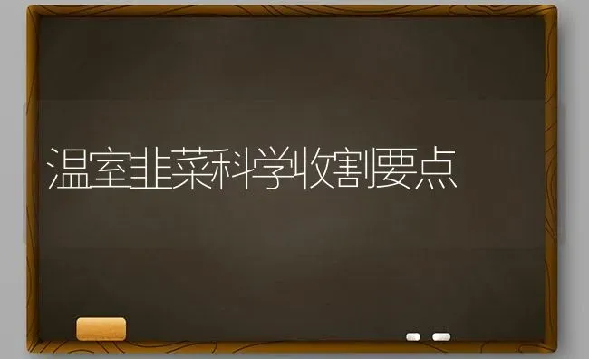 温室韭菜科学收割要点 | 蔬菜种植