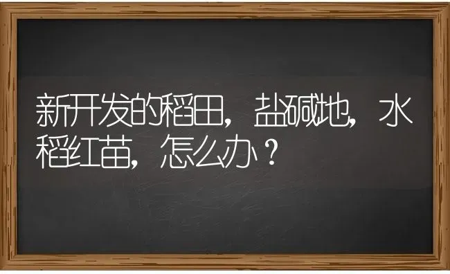 新开发的稻田，盐碱地，水稻红苗，怎么办？ | 粮油作物种植