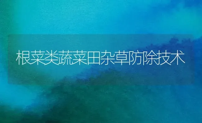 向日葵褐斑病的防治 | 粮油作物种植