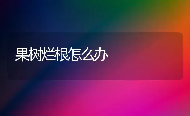 果树烂根怎么办 | 瓜果种植