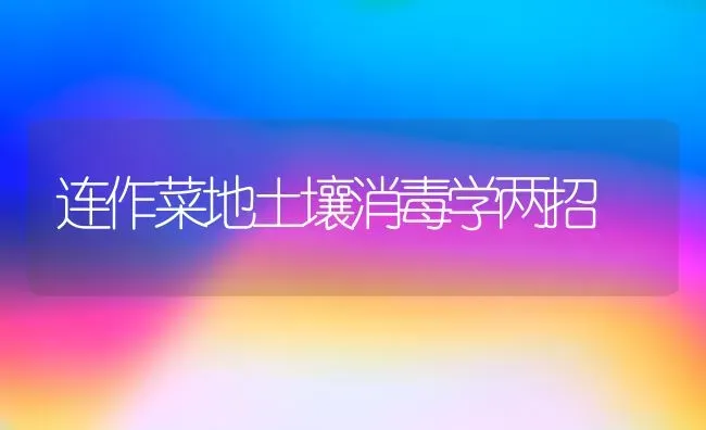 连作菜地土壤消毒学两招 | 蔬菜种植