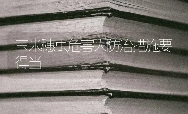 玉米穗虫危害大防治措施要得当 | 粮油作物种植