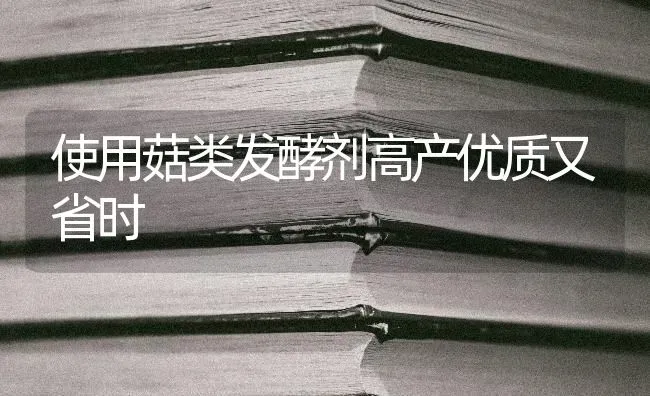 使用菇类发酵剂高产优质又省时 | 食用菌种植