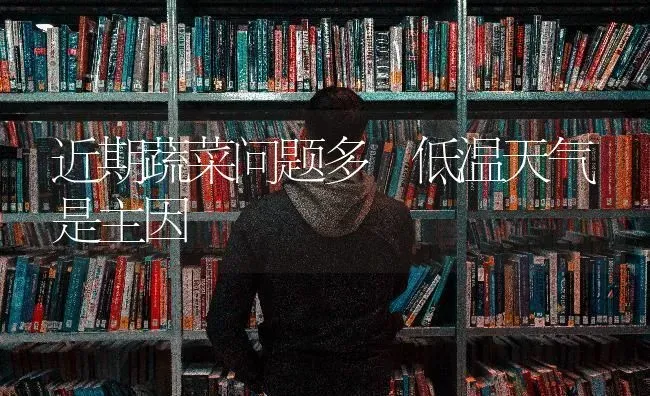 近期蔬菜问题多 低温天气是主因 | 蔬菜种植