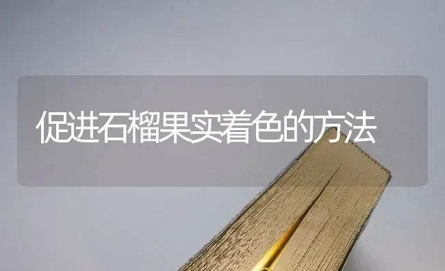 促进石榴果实着色的方法 | 瓜果种植