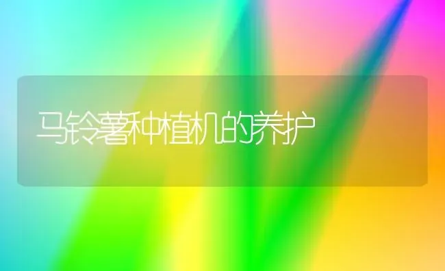 马铃薯种植机的养护 | 植物种植百科
