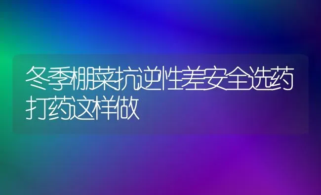 冬季棚菜抗逆性差安全选药打药这样做 | 蔬菜种植