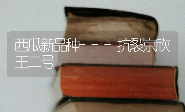 西瓜新品种---抗裂京欣王二号 | 瓜果种植