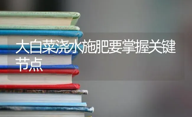 大白菜浇水施肥要掌握关键节点 | 种植肥料施肥