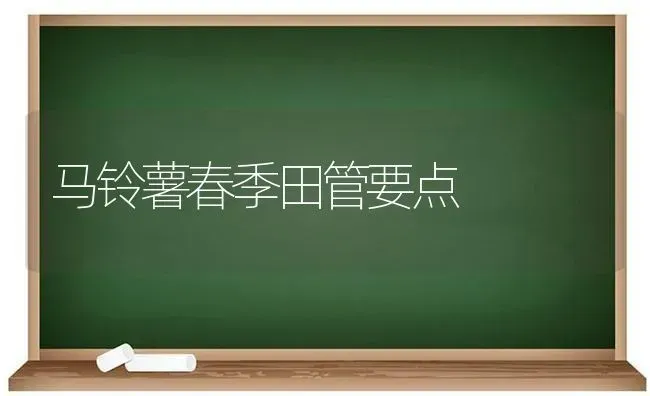 马铃薯春季田管要点 | 粮油作物种植