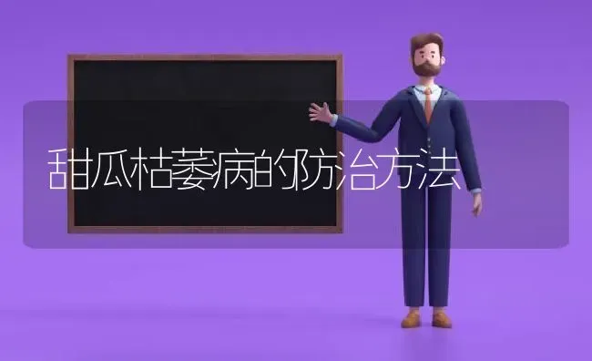 甜瓜枯萎病的防治方法 | 瓜果种植