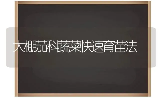大棚茄科蔬菜快速育苗法 | 蔬菜种植