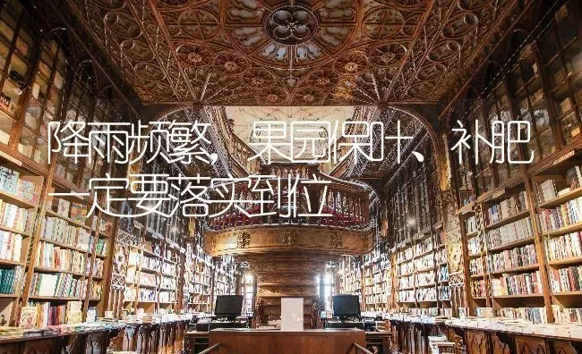 降雨频繁，果园保叶、补肥一定要落实到位 | 瓜果种植