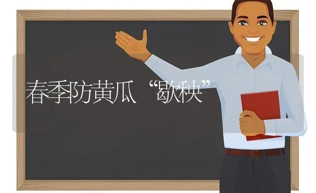 春季防黄瓜“歇秧” | 蔬菜种植