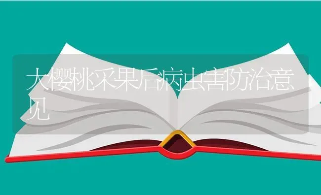 大樱桃采果后病虫害防治意见 | 瓜果种植