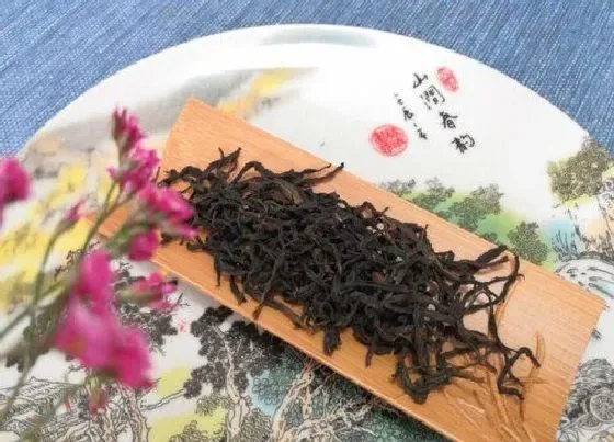 食用常识|鸭屎香为什么叫鸭屎香（凤凰单丛乌龙茶真的是鸭屎吗）