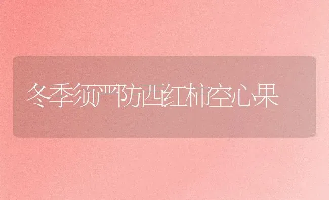 冬季须严防西红柿空心果 | 瓜果种植