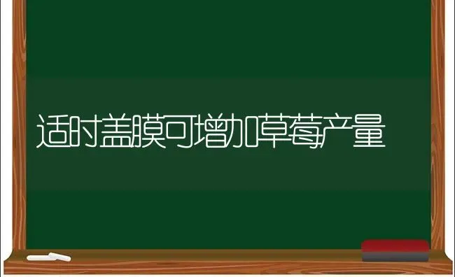 适时盖膜可增加草莓产量 | 瓜果种植