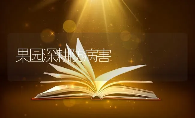 果园深耕防病害 | 瓜果种植