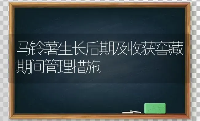 马铃薯生长后期及收获窖藏期间管理措施 | 粮油作物种植